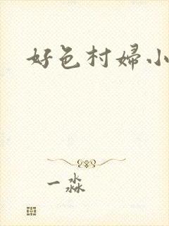 好色村妇小银贼封面