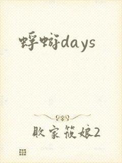 蜉蝣days封面