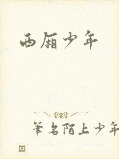 西厢少年