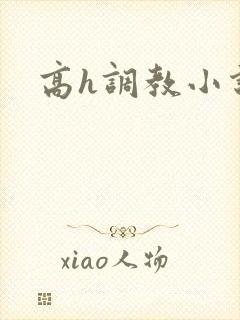 高h调教小说