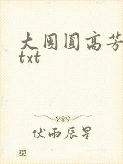 大团圆高芳小说txt