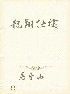 龙翔仕途