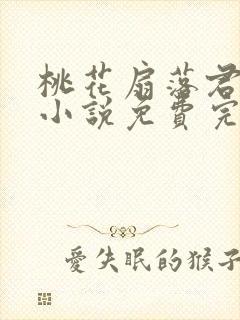 桃花扇落君不还小说免费完整版