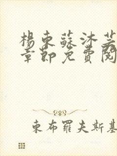 杨东苏沐芸最新章节免费阅读小说封面