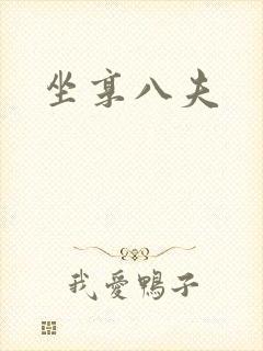 坐享八夫封面
