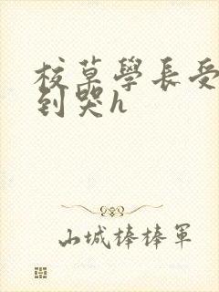 校草学长受被做到哭h