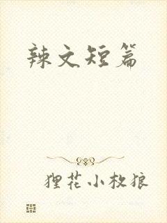 辣文短篇