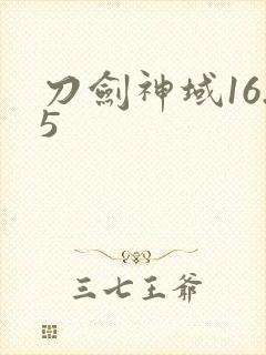 刀剑神域16.5