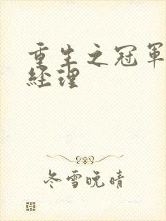 重生之冠军篮球经理