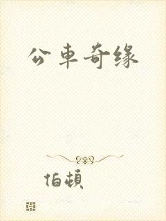 公车奇缘