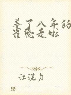 养了八年的金丝雀飞走啦