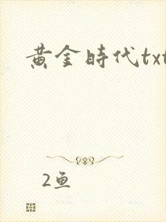 黄金时代txt封面
