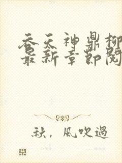 吞天神鼎柳无邪最新章节阅读