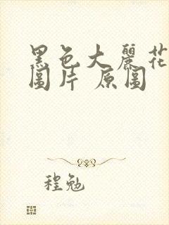 黑色大丽花真实图片 原图封面