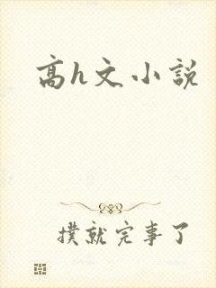 高h文小说