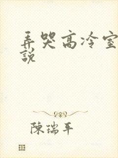 弄哭高冷室友小说