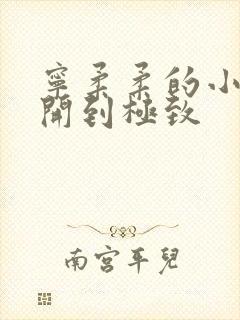 宁柔柔的小泬撑开到极致