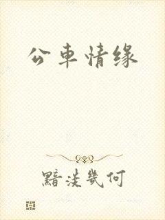 公车情缘