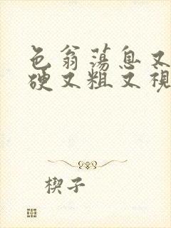 色翁荡息又大又硬又粗又视频图片