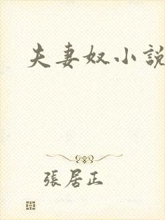 夫妻奴小说