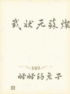 武状元苏灿