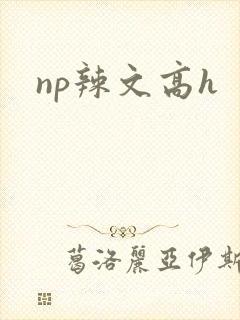 np辣文高h