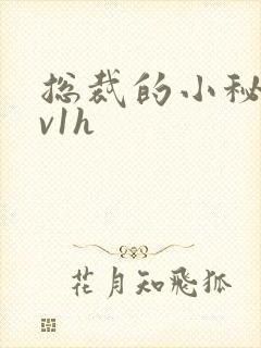 总裁的小秘书1v1h