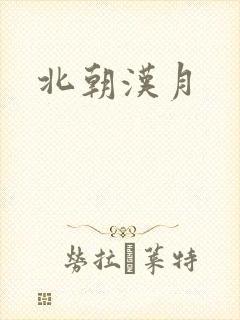 北朝汉月封面