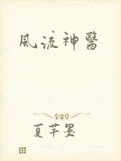 风流神医