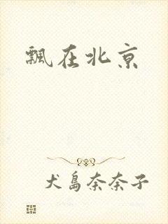 飘在北京