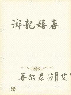 游龙嬉春封面