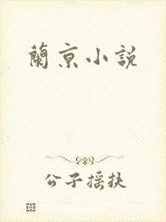 兰京小说