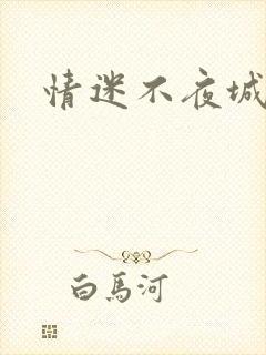 情迷不夜城