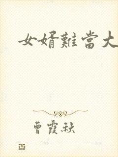 女婿难当大结局封面