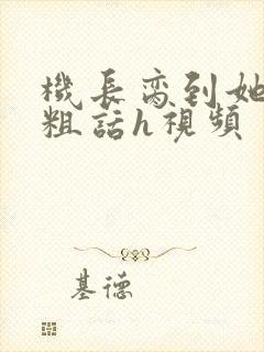 机长脔到她哭h粗话h视频