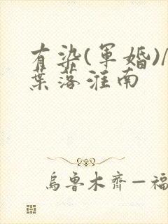 有染(军婚)/叶落淮南