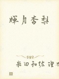 辉月杏梨封面