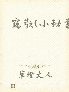 窃欢(小秘书)
