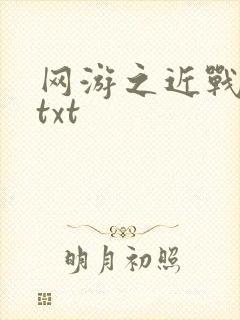 网游之近战法师txt封面