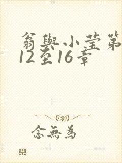 翁与小莹第十部12至16章封面