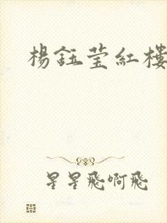 杨钰莹红楼封面