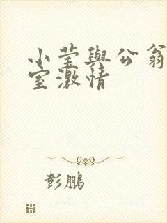 小莹与公翁办公室激情