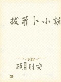 拔萝卜小说封面