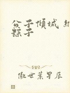 公子倾城 维和粽子