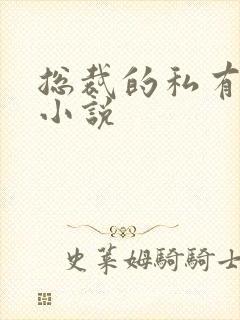 总裁的私有宝贝小说封面