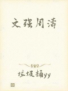 文强周涛