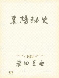 襄阳秘史