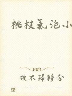 桃枝气泡小说