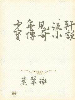少年风流轩辕大宝传奇小说