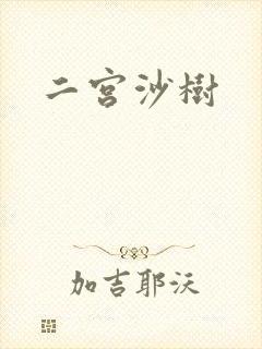 二宫沙树